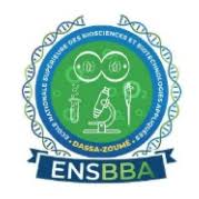 École Nationale Supérieure des Biosciences et Biotechnologies Appliquées (ENSBBA)