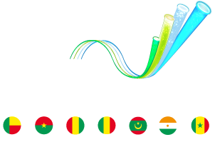 École Supérieure Multinationale de Télécommunications (ESMT)