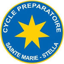 École Supérieure d’Ingénierie Sainte Marie Stella